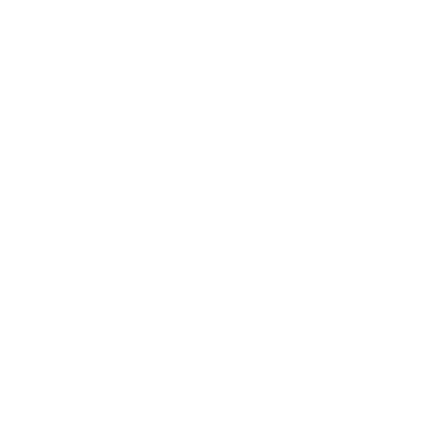 hundephysiotherapie